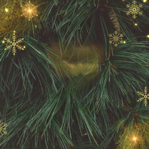 background image of a christmas tree with long needles